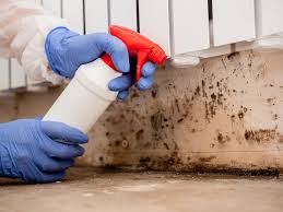 Mold Remediation for Vacation Homes